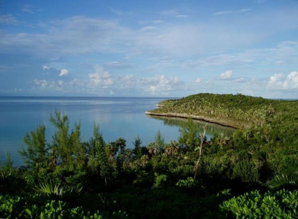 Beside The Pointe Cottage Savannah Sound Exterior foto